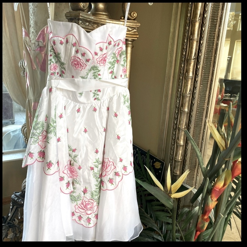 (2)Betsey Johnson dresses